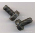 Tornillo 300-95608